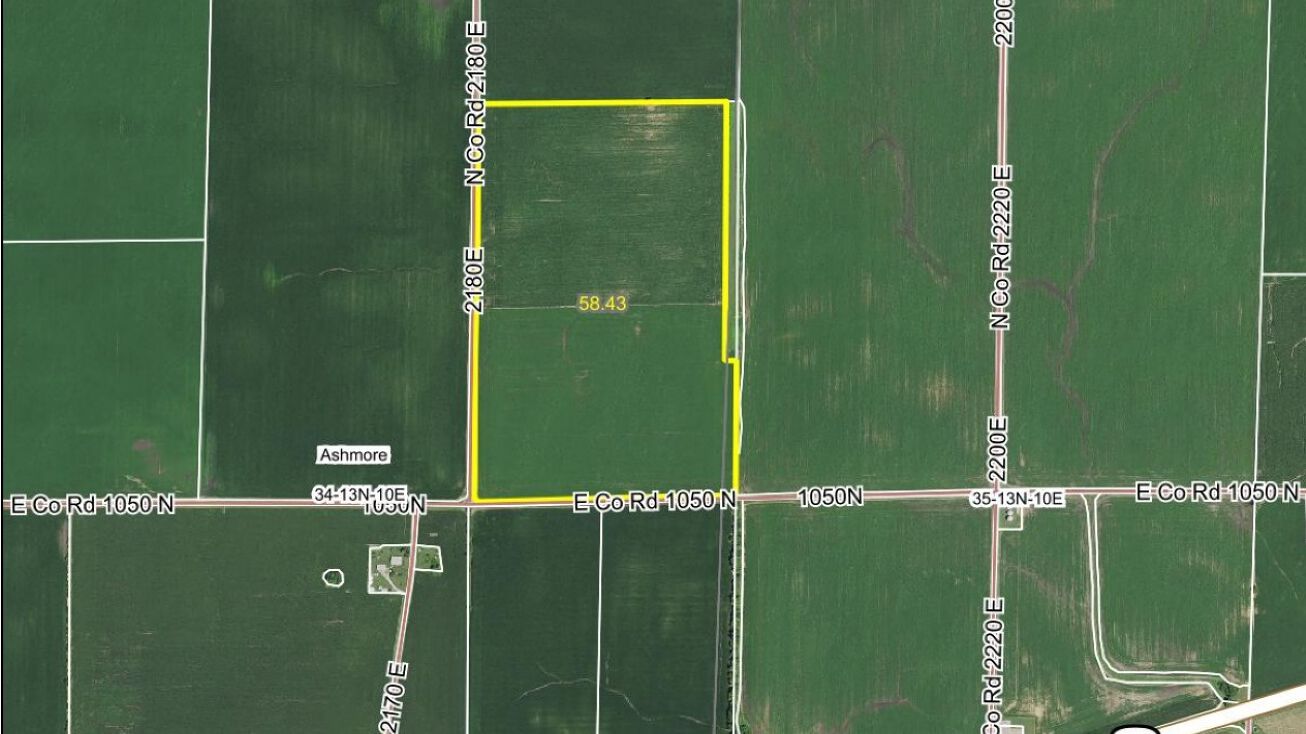 1050 N. & 2180 E. Road, Ashmore, IL 61912