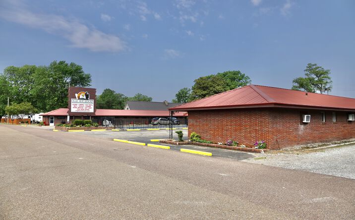 Pictures of Special Purpose, Land property located at 256 W Lakeview Dr, Hornbeak, TN 38232 for sales - image #1