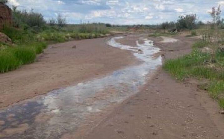 Pictures of Land property located at 120A Medio Canyon Road, Lindrith, NM 87029 for sales - image #1
