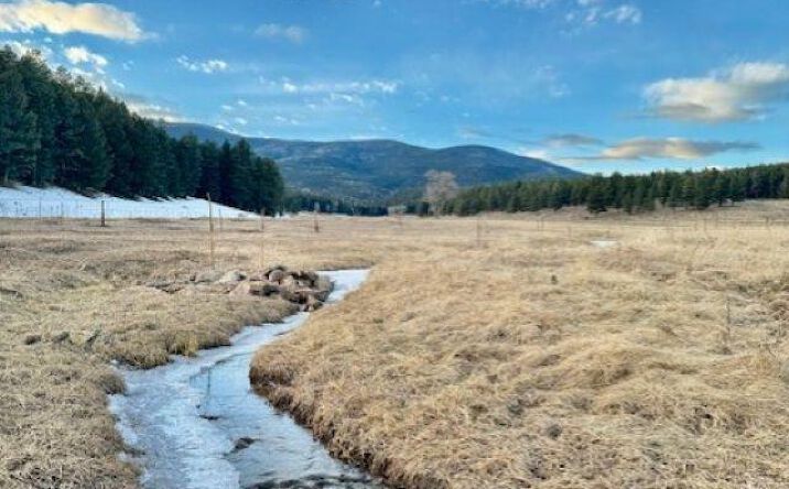 Pictures of Land property located at 28289 Hwy 64 Highway, Eagle Nest, NM 87718 for sales - image #1