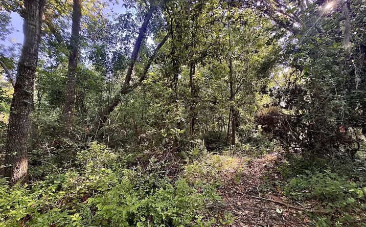 Pictures of Land property located at Vac SE Country Club RD, Lake City, FL 32025 for sales - image #1
