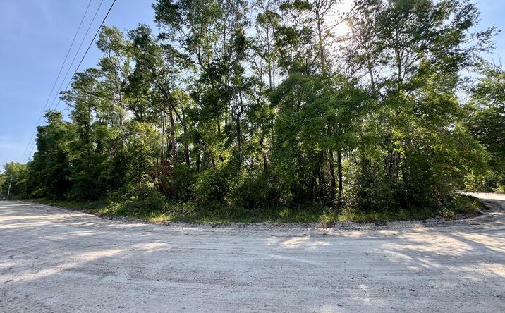 Pictures of Land property located at LOT 58 NE 170th St, Old Town, FL 32680 for sales - image #1