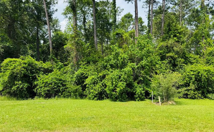 Pictures of Land property located at Lot 83 Spring Oak Dr., Carriere, MS 39426 for sales - image #1