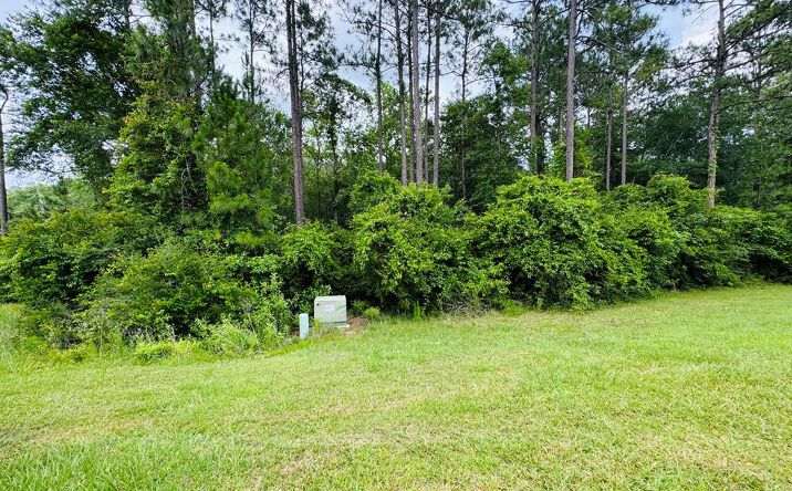 Pictures of Land property located at Lot 79 Spring Oak Dr., Carriere, MS 39426 for sales - image #1
