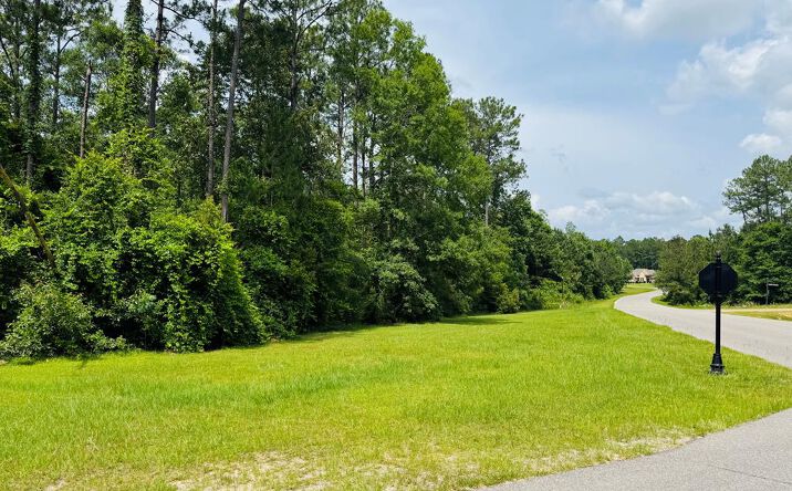 Pictures of Land property located at Lot 84 Spring Oak Dr., Carriere, MS 39426 for sales - image #1