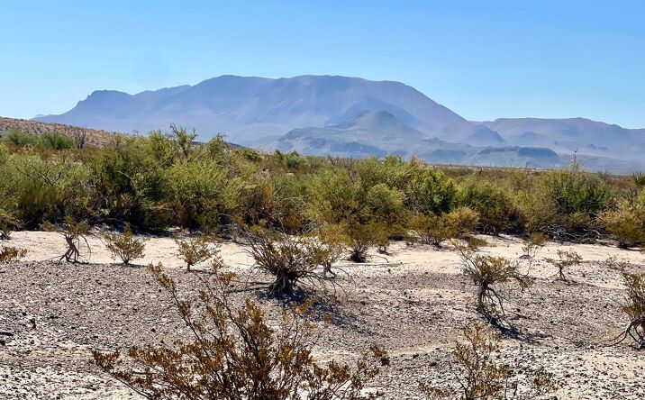 Pictures of Land property located at C 128 Private Rd, Terlingua, TX 79852 for sales - image #1