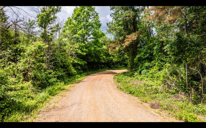 Pictures of Land property located at Lakewood Rd, Amity, AR 71921 for sales - image #1