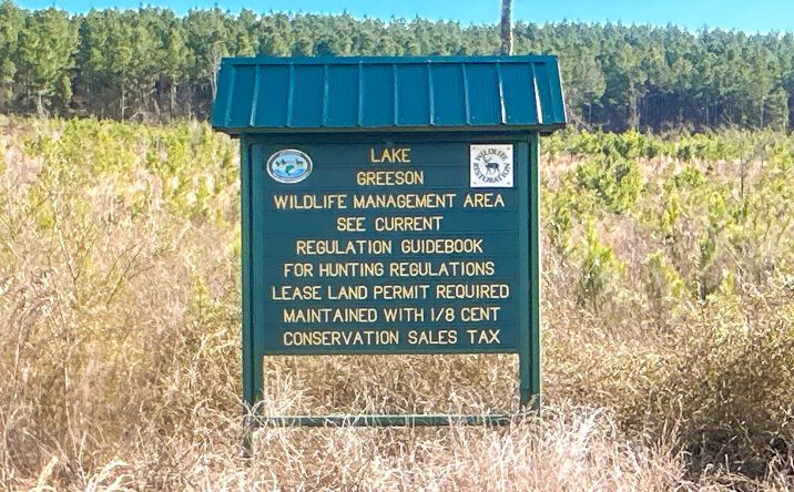 Pictures of Land property located at Pine Mountain Rd, Newhope, AR 71959 for sales - image #1