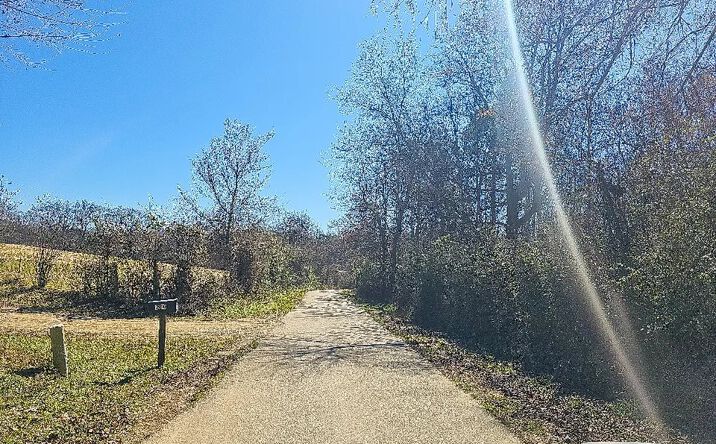 Pictures of Land property located at Port Arthur Ave, Grannis, AR 71944 for sales - image #1