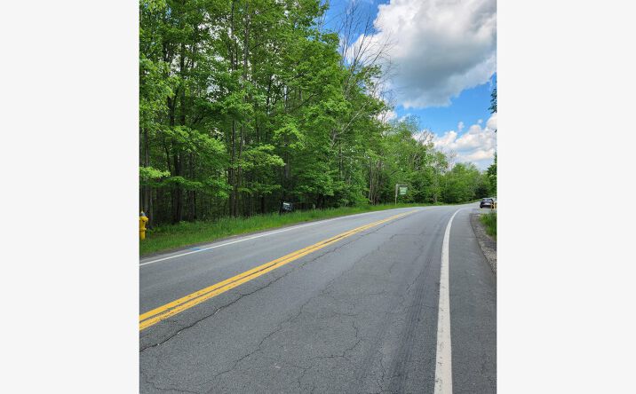 Pictures of Land property located at 210 Ferndale rd, Liberty, NY 12754 for sales - image #1