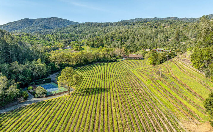 Pictures of Land property located at 1626 Whitehall Ln, St. Helena, CA 94574 for sales - image #1