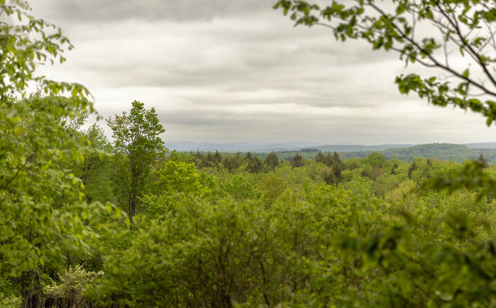 Pictures of Land property located at 1 Snow Hill Rd, Parksville, NY 12768 for sales - image #1