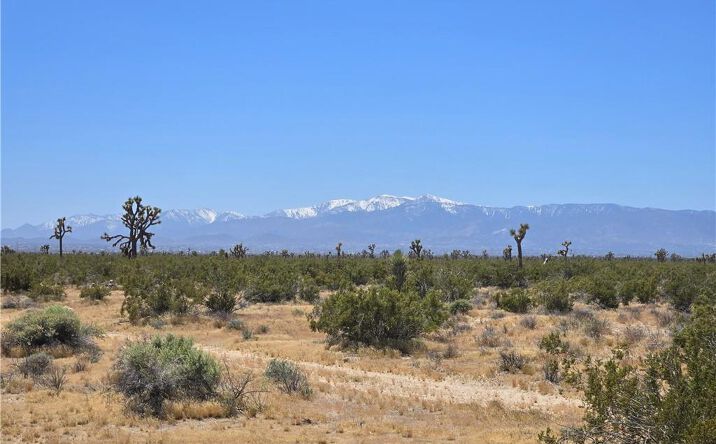 Pictures of Land property located at Beaver Ave, Adelanto, CA 92301 for sales - image #1