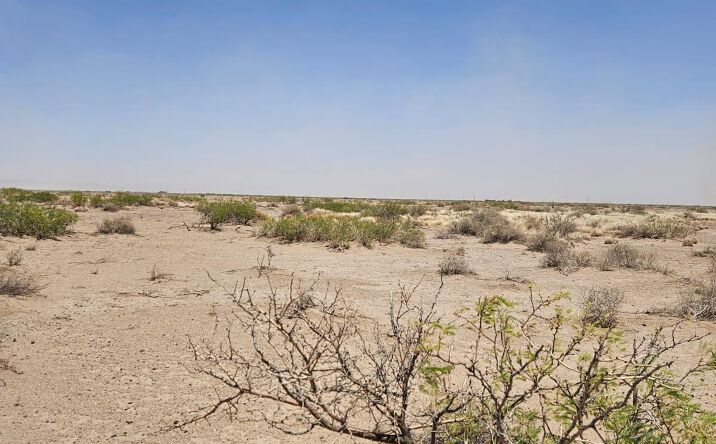 Pictures of Land property located at XXX SE Vibrota, Deming, NM 88030 for sales - image #1