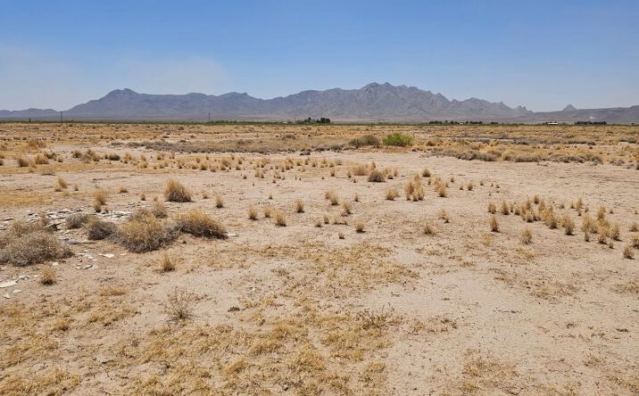 Pictures of Land property located at XXX Coyote Rd Se, Deming, NM 88030 for sales - image #1