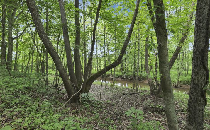 Pictures of Land property located at 0 Keystone Furnace Road, Jackson, OH 45640 for sales - image #1