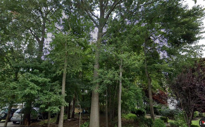 Pictures of Land property located at 41 Chicago Avenue, Piscataway, NJ 08854 for sales - image #1
