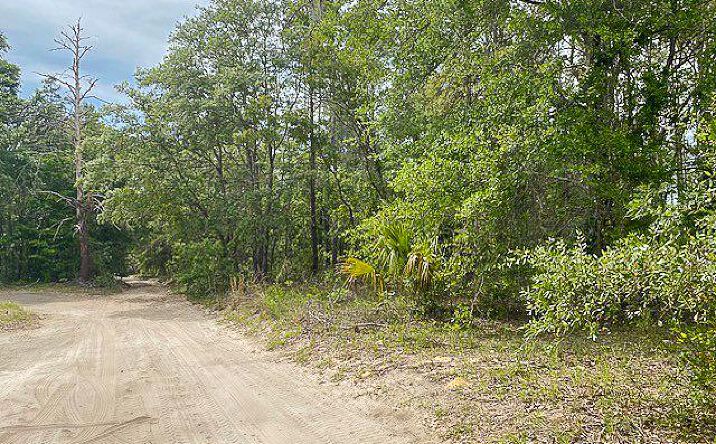 Pictures of Land property located at 67th St, Bronson, FL 32621 for sales - image #1