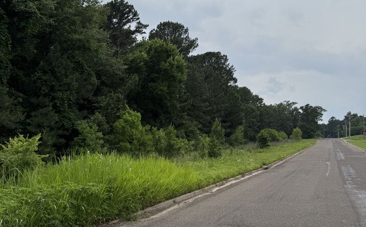 Pictures of Land property located at N. Fourth street/Clinic Drive, Longview, TX 75605 for sales - image #1