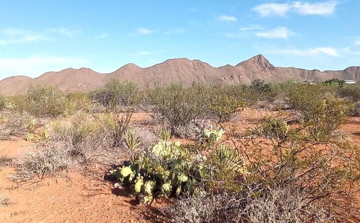 Pictures of Land, Mixed Use property located at TBD Little Yisrael Lane Terlingua, TX 79852, Terlingua, TX 79852 for sales - image #1