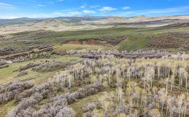 Pictures of Land property located at TBD County Road 80, Hayden, CO 81639 for sales - image #1