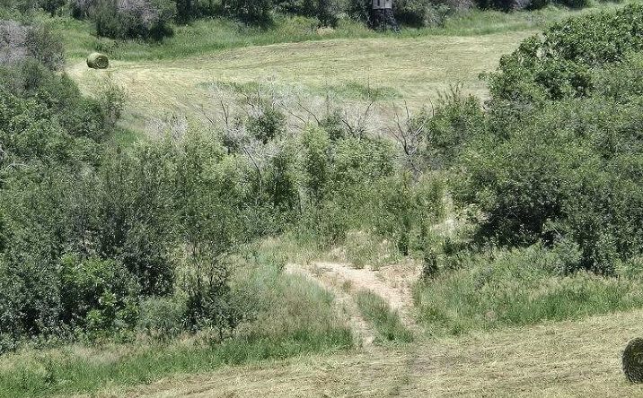 Pictures of Land property located at TBD County Road 52, Steamboat Springs, CO 80487 for sales - image #1