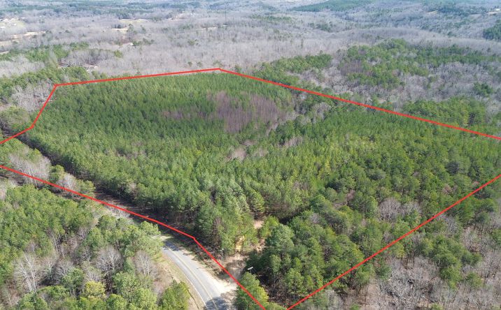 Pictures of Land property located at 000 County Road 28, Haleyville, AL 35565 for sales - image #1