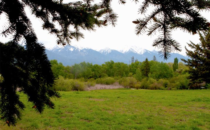 Pictures of Land property located at NHN Stage Coach Trail, Ronan, MT 59864 for sales - image #1