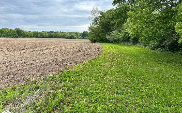 Pictures of Land property located at 0 N 4th Street, Farmington, IA 52626 for sales - image #1