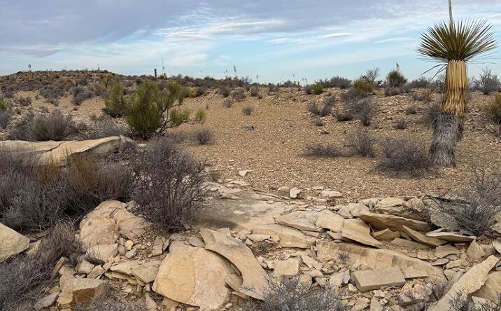 Pictures of Land property located at 4029 Fort Clark Dr., Terlingua, TX 79852 for sales - image #1