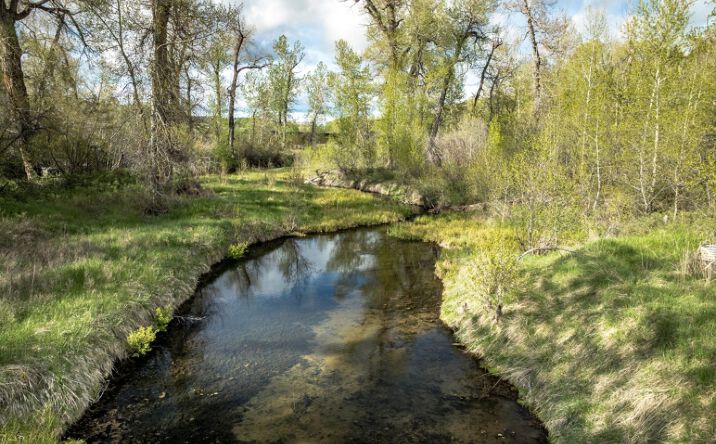 Pictures of Land property located at 40 A Susie Creek Road, McLeod, MT 59052 for sales - image #1