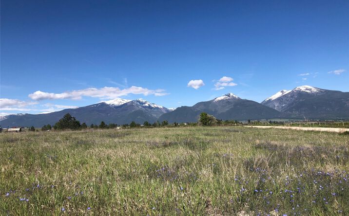 Pictures of Land property located at NKN Cougar Lane, Stevensville, MT 59870 for sales - image #1