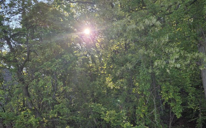 Pictures of Land property located at Warren Road, Michigan City, IN 46360 for sales - image #1
