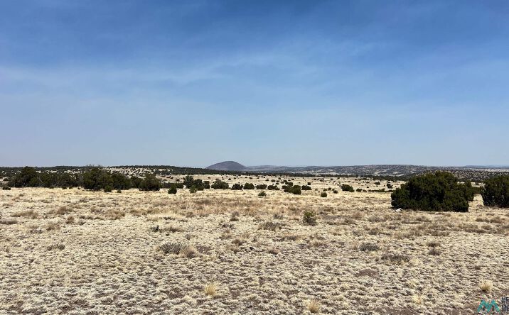 Pictures of Land property located at 51 Hide Away Road, Quemado, NM 87829 for sales - image #1