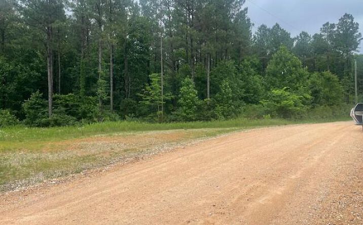 Pictures of Land property located at 0 Bartlett Road, Reagan, TN 38368 for sales - image #1
