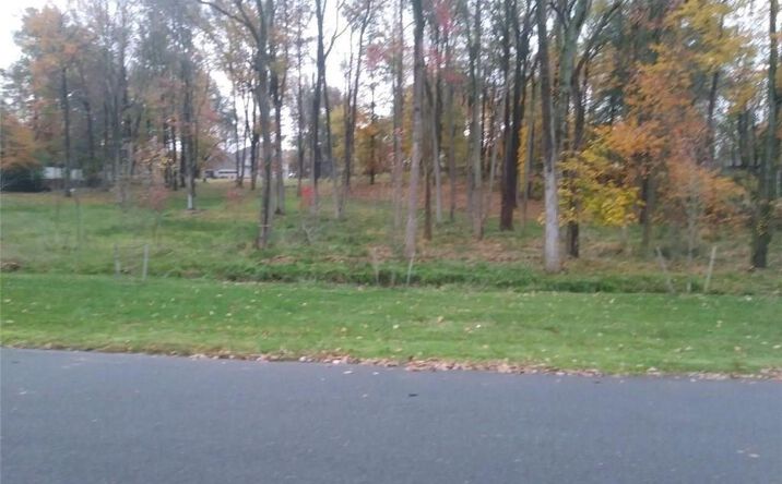 Pictures of Land property located at 14 Parson Place, Colonia, NJ 07067 for sales - image #1