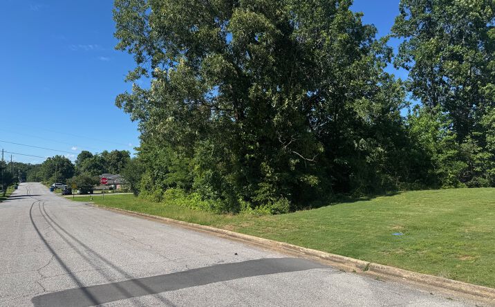 Pictures of Land property located at 0 2nd Avenue NE, Jacksonville, AL 36265 for sales - image #1