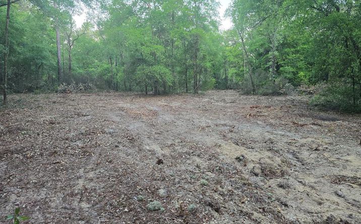 Pictures of Land property located at 81st St, Bronson, FL 32621 for sales - image #1
