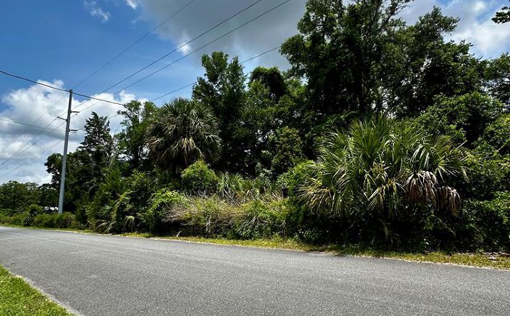 Pictures of Land property located at 361 SE 242nd St, Cross City, FL 32628 for sales - image #1