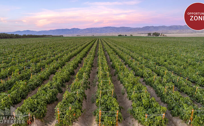 Pictures of Land property located at Ave 72 & Hayes St, Mecca, CA 92254 for sales - image #1