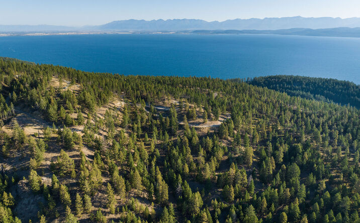 Pictures of Land property located at 168 Angel Point Preserve, Lakeside, MT 59922 for sales - image #1