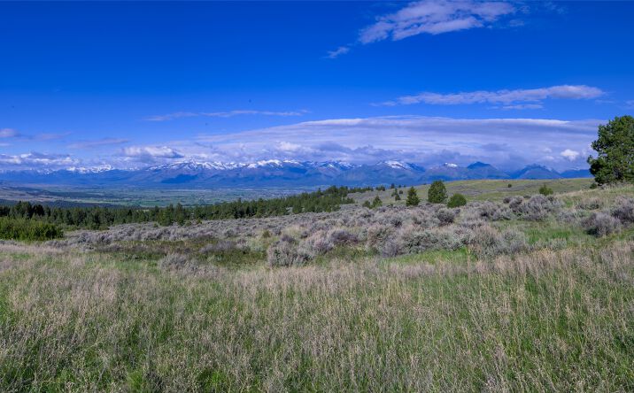 image of property at 1541 SOFT ROCK RD Corvallis MT 59828