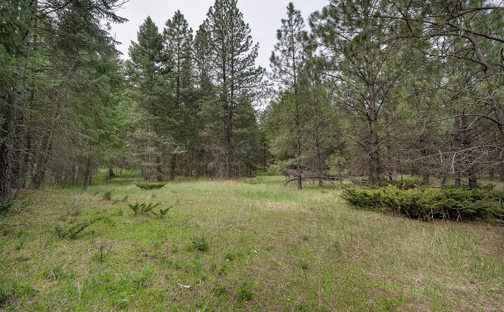 Pictures of Land property located at 520 Bald Rock Road, Kalispell, MT 59901 for sales - image #1