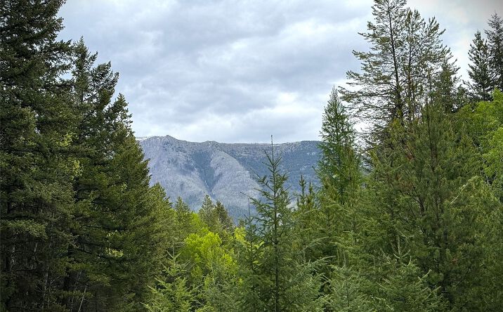 Pictures of Land property located at NHN Lagoon Drive, Trego, MT 59934 for sales - image #1