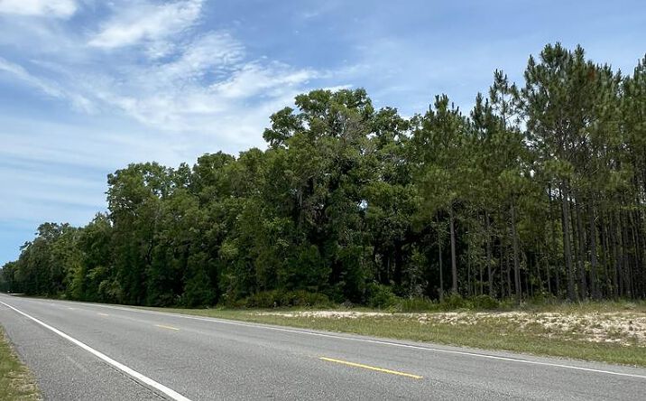 Pictures of Land property located at TBD NE Hwy 349, Old Town, FL 32680 for sales - image #1
