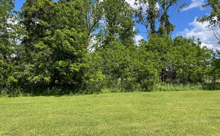 Pictures of Land property located at TBD Monroe, Alderson, WV 24910 for sales - image #1