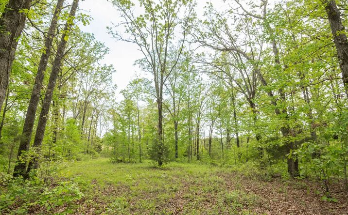 Pictures of Land property located at 123 Bush Drive, Arab, MO 63787 for sales - image #1
