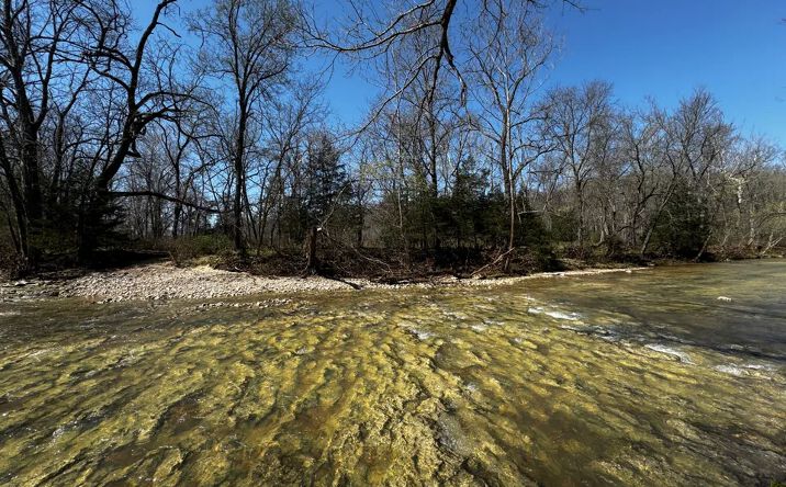 Pictures of Land property located at Tavern Creek Rd, Iberia, MO 65486 for sales - image #1