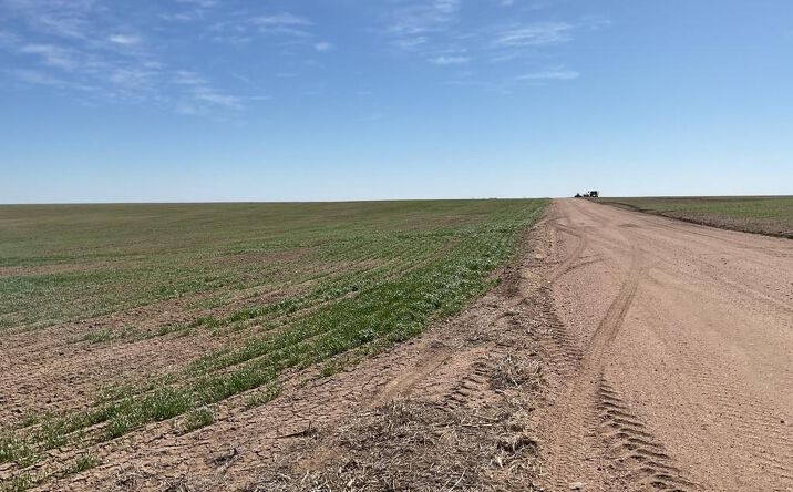 Pictures of Land property located at (No Address) Seibert CO, Seibert, CO 80834 for sales - image #1