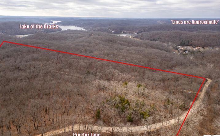 Pictures of Land, Special Purpose property located at 80 +/- Acres Proctor Lane, Gravois Mills, MO 65037 for sales - image #1